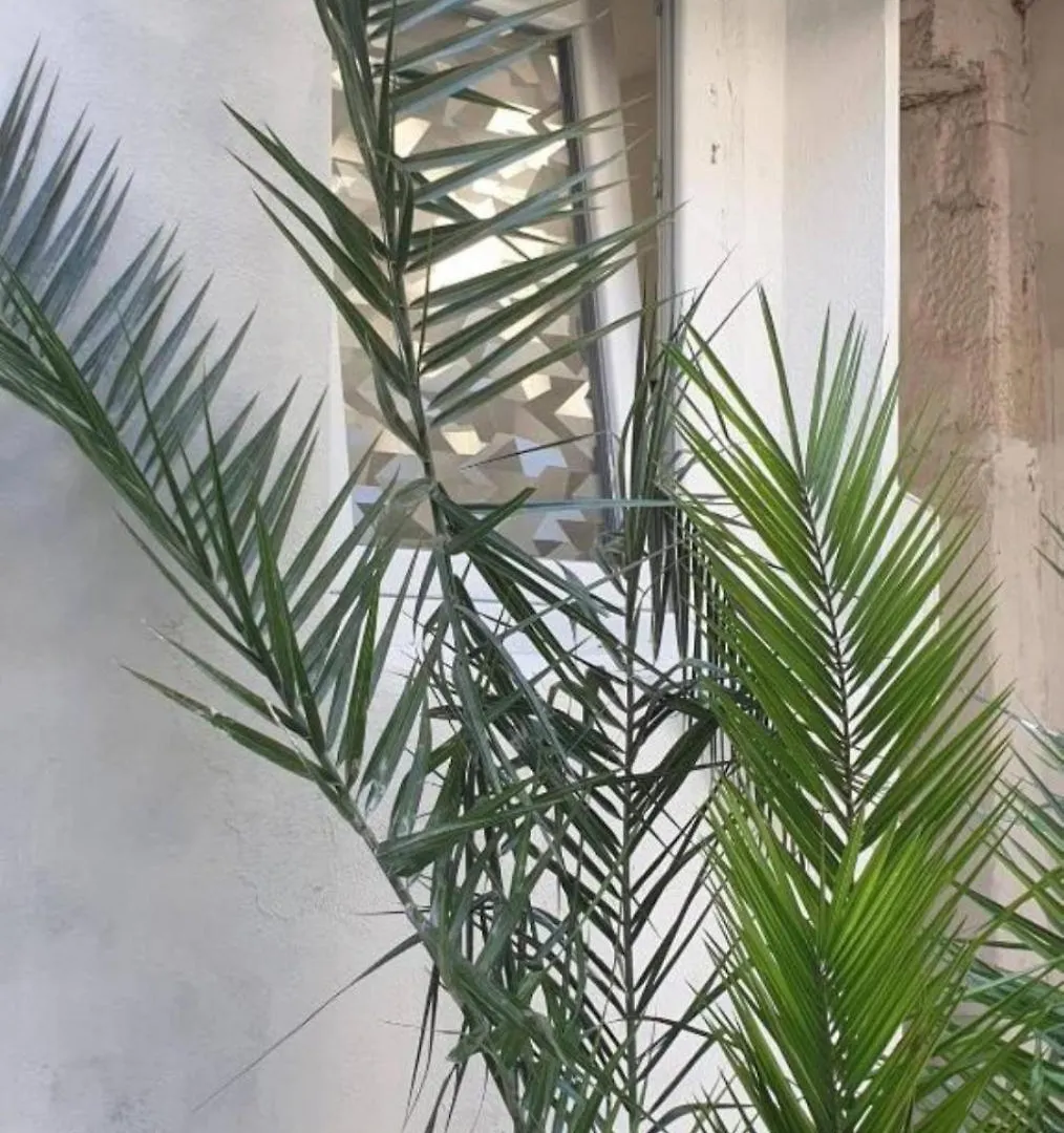 Apartments Iva - Modern Downtown Split